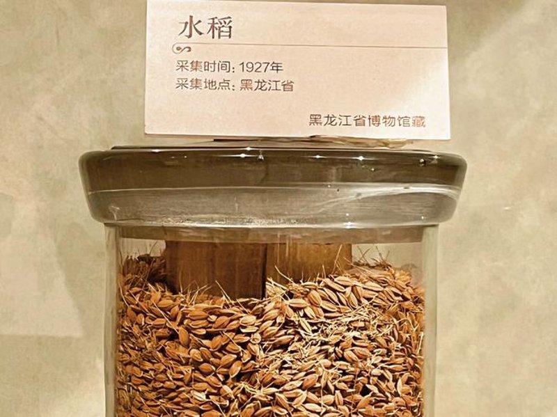 大连种子批发行业的未来趋势与机遇