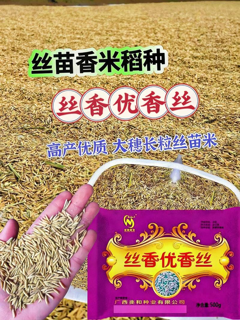 大连种子批发：农业的新起点