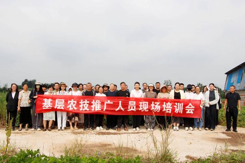 大连种子批发行业的最新发展