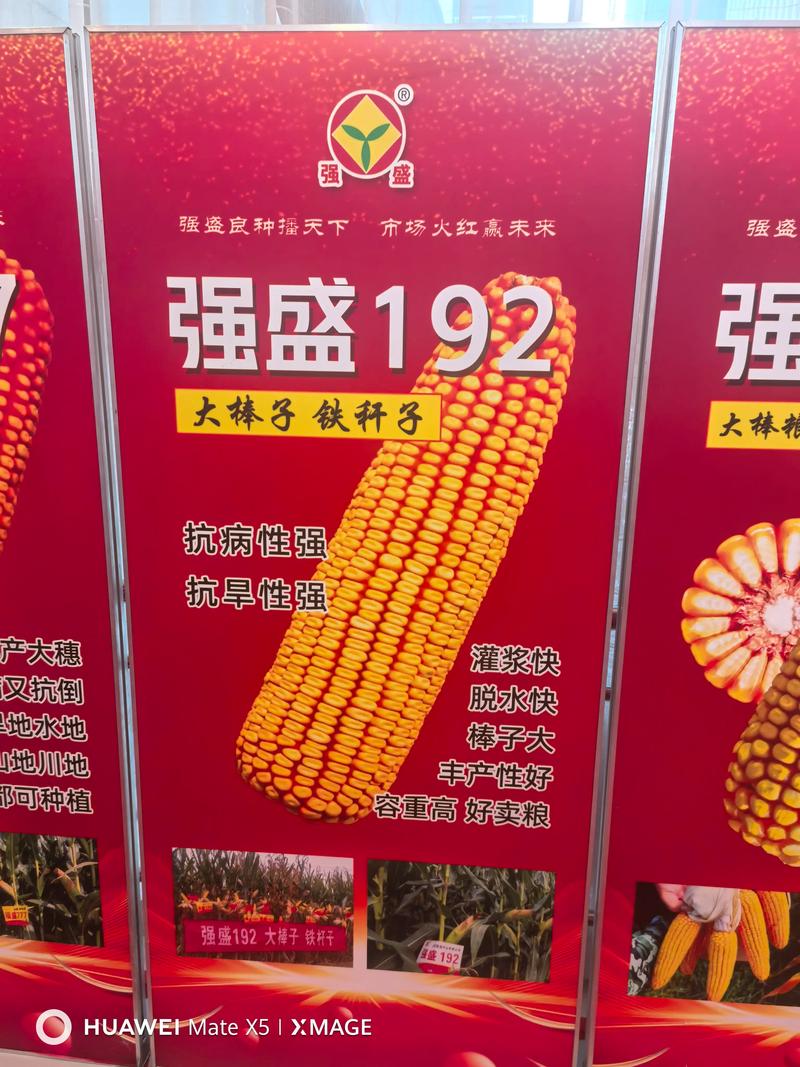 大连种子批发市场的最新趋势与未来发展