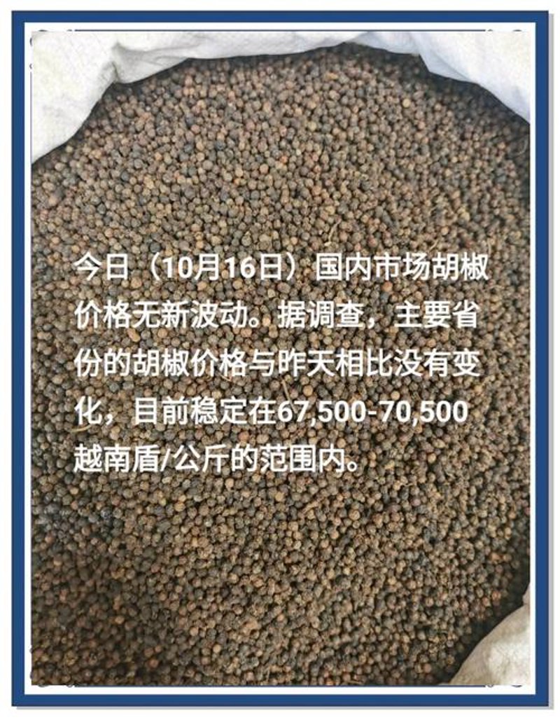 种子批发市场的变化与趋势